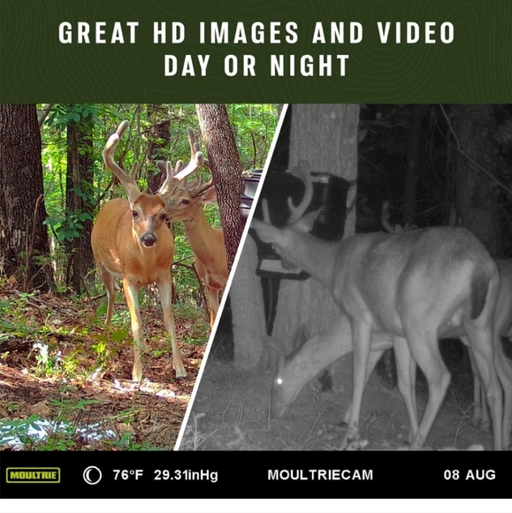 Moultrie Mobile cellular trail cam - Picture 11 of 11